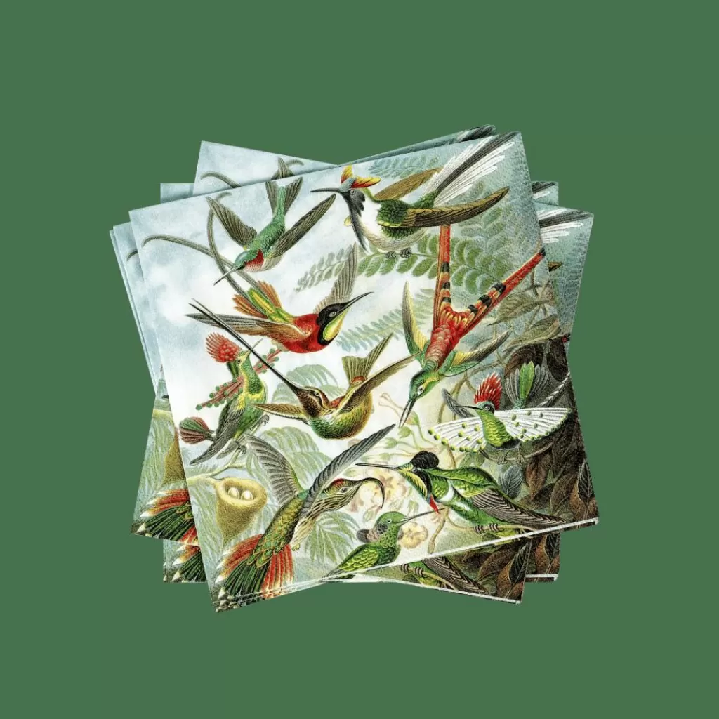 CASA COLIBRI Paquete De 20 Servilletas Multicolor