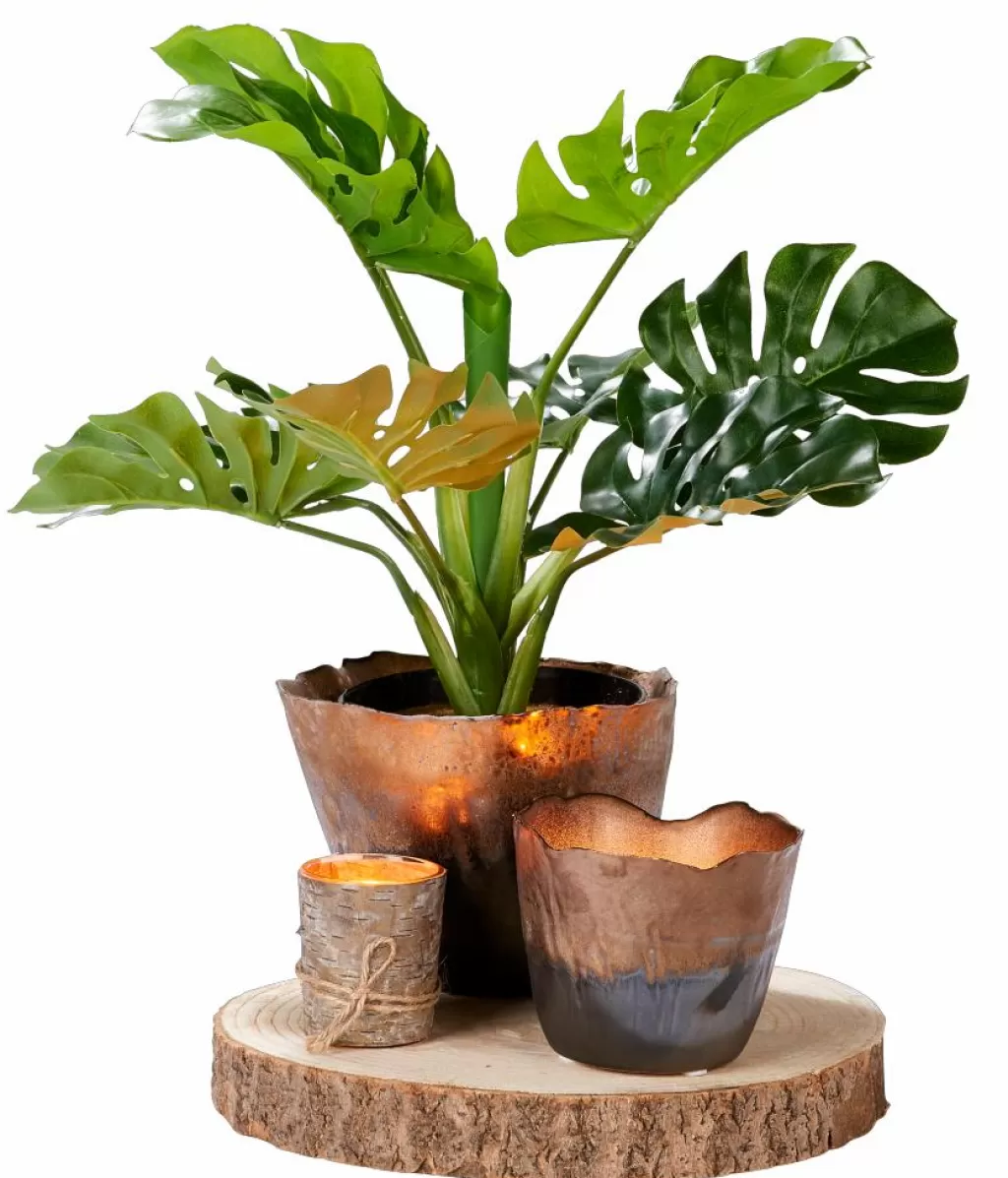 CASA DUO Velas Largas Juego De 2 Crema, Menta, Multicolor