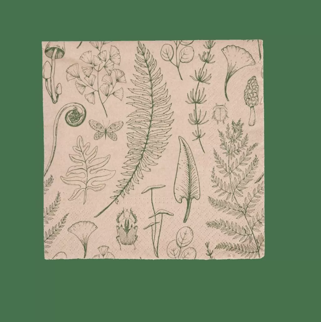 CASA ECO NATURE Paquete De 20 Servilletas Multicolor