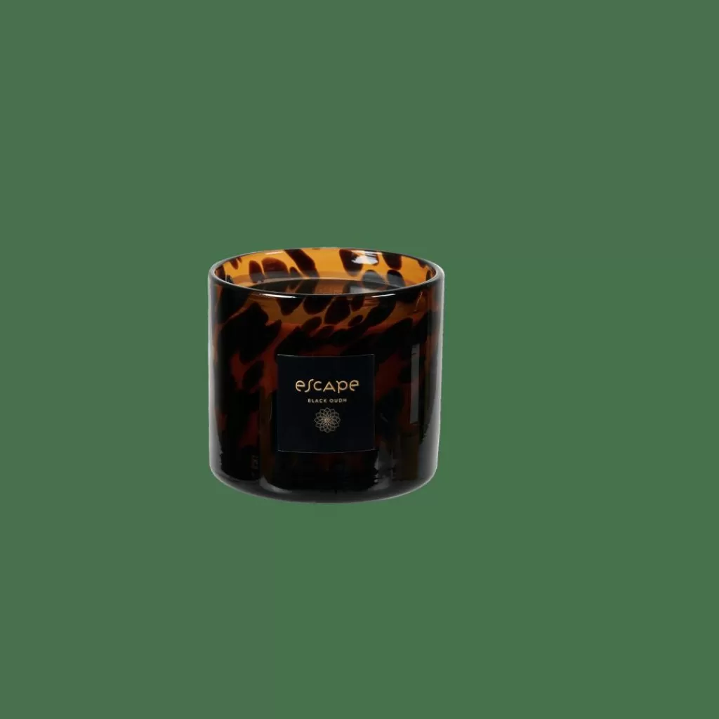 CASA ESCAPE BLACK OUDH Vela Perfumada En Vaso Negro, Marrón, Multicolor
