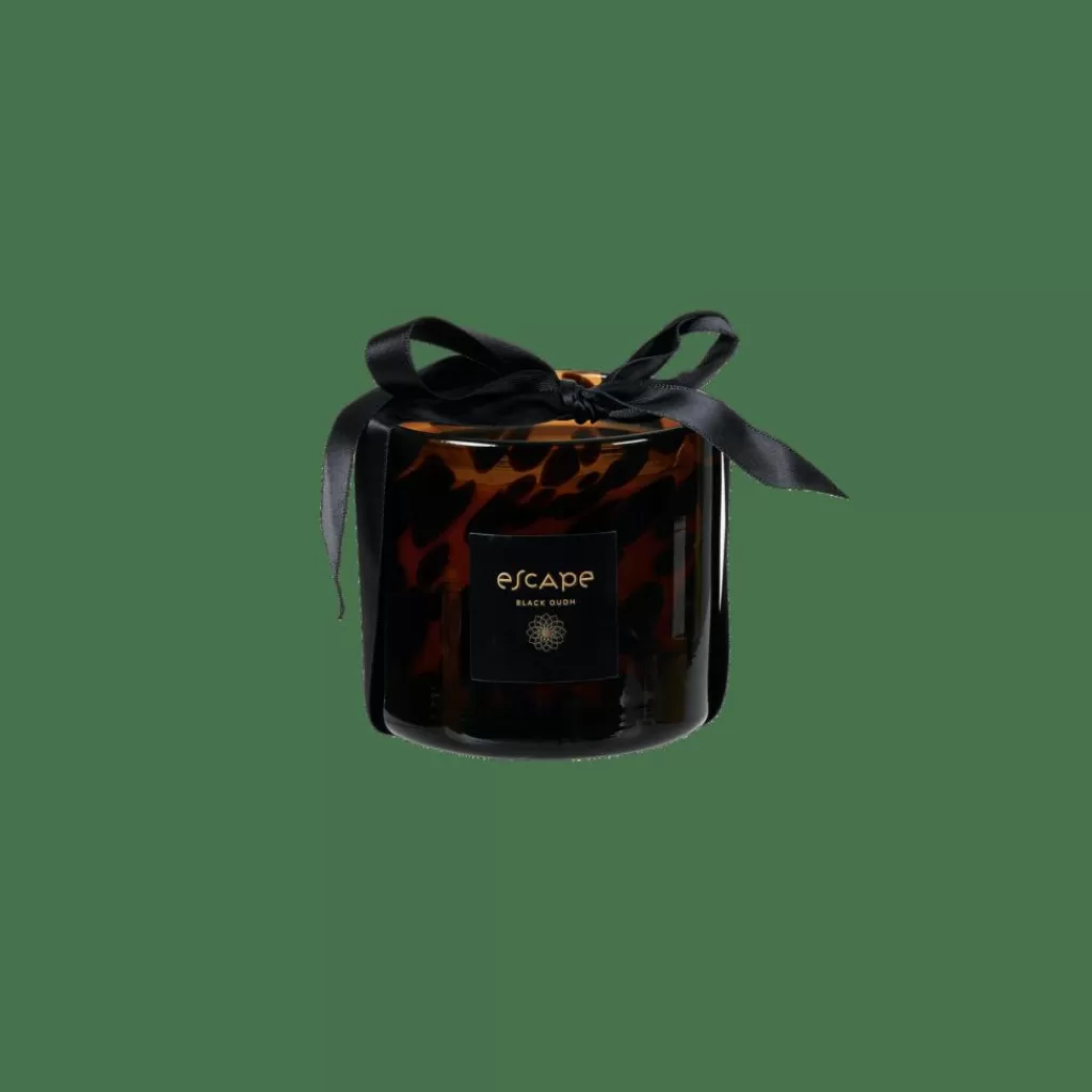 CASA ESCAPE BLACK OUDH Vela Perfumada En Vaso Negro, Marrón, Multicolor
