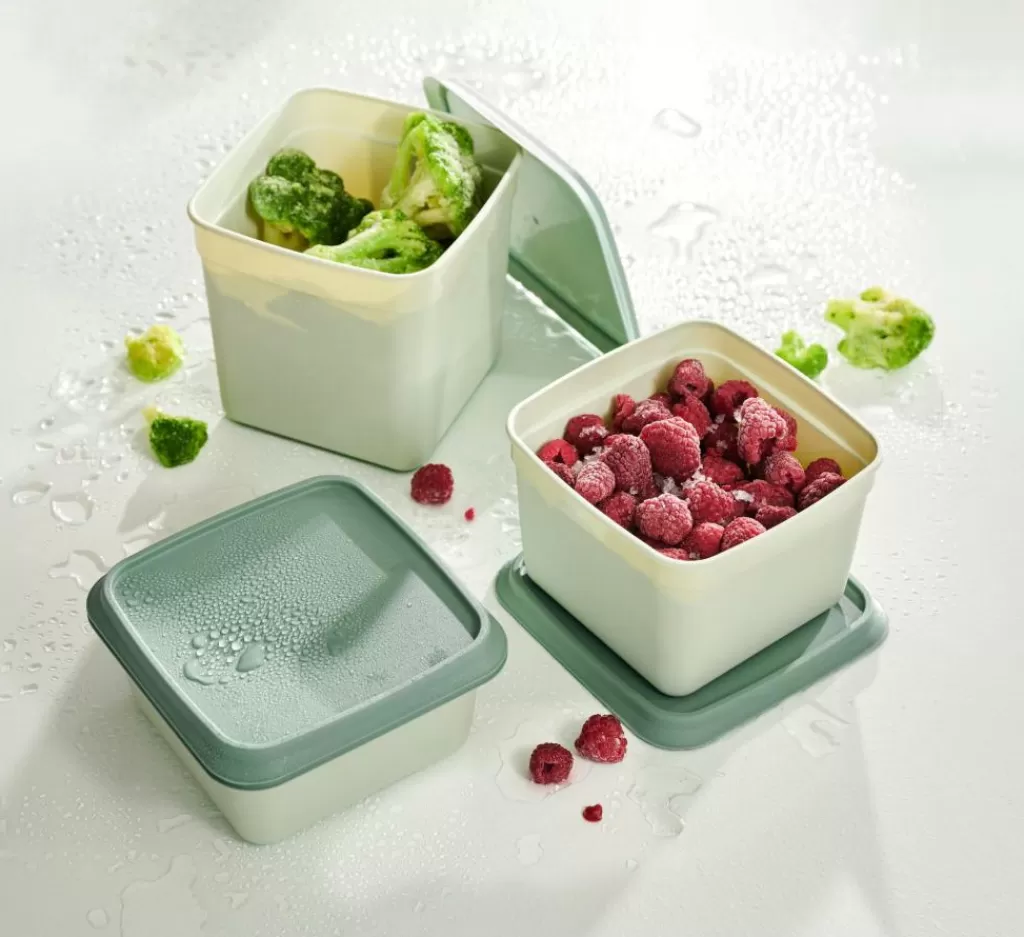 CASA FREEZER Cajas Congeladoras Juego De 10 Menta, Verde Oscuro