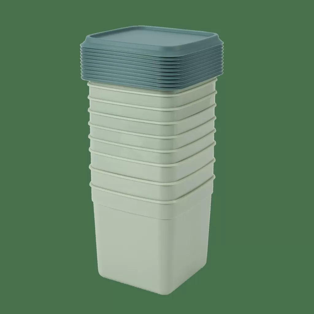 CASA FREEZER Cajas Congeladoras Juego De 10 Menta, Verde Oscuro
