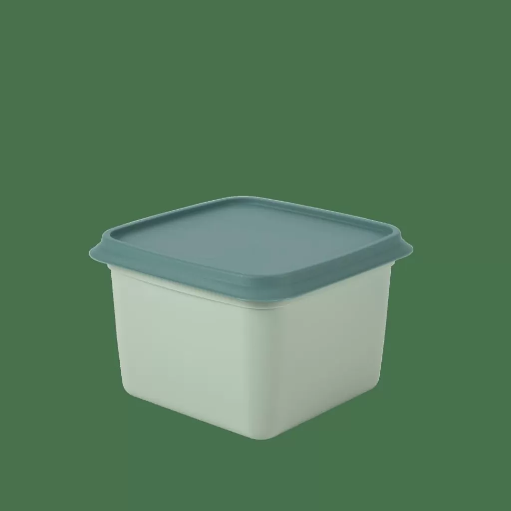 CASA FREEZER Cajas Congeladoras Juego De 10 Menta, Verde Oscuro