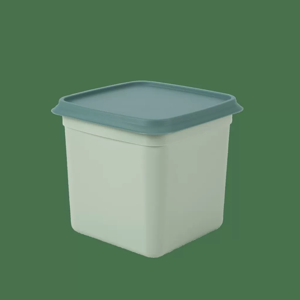 CASA FREEZER Cajas Congeladoras Juego De 10 Menta, Verde Oscuro