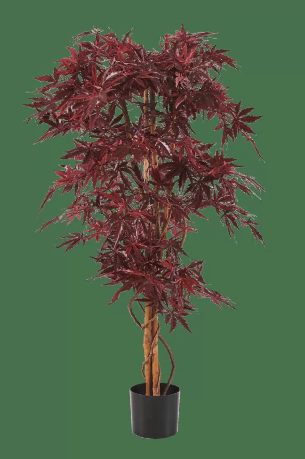 CASA MAPLE Planta Artificial Varios Colores