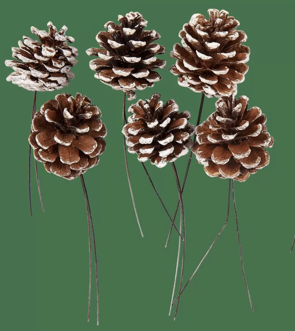 CASA PINECONE Piñas Juego De 6 2 Colores Blanco, Plateado