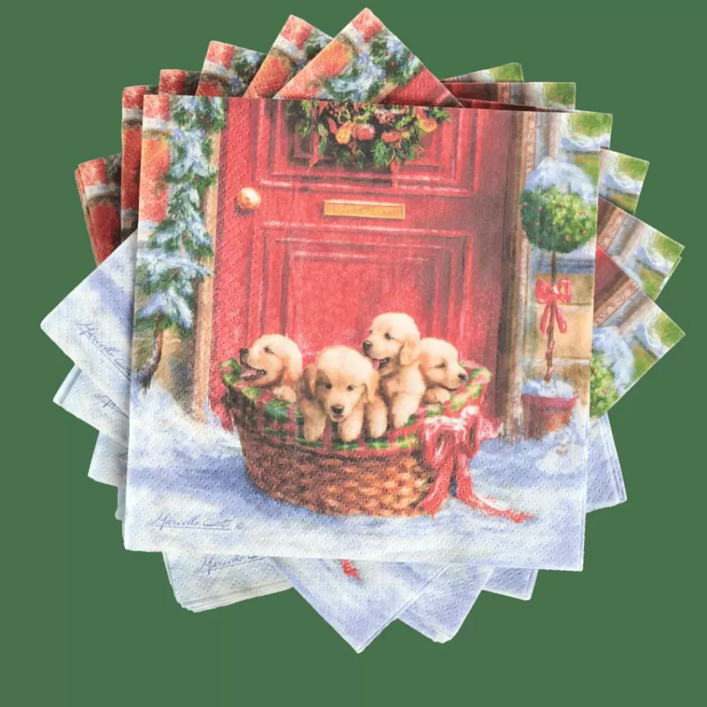 CASA PUPPIES Paquete De 20 Servilletas Multicolor