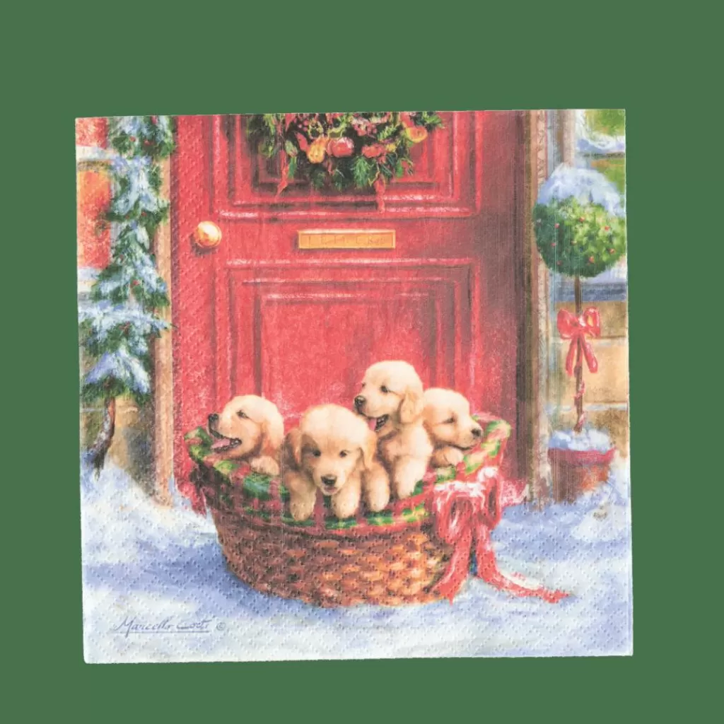 CASA PUPPIES Paquete De 20 Servilletas Multicolor