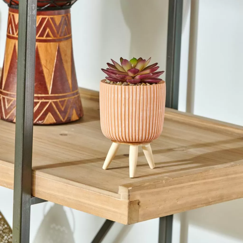 CASA STRIPE Planta Crasa Art En Tarro Multicolor