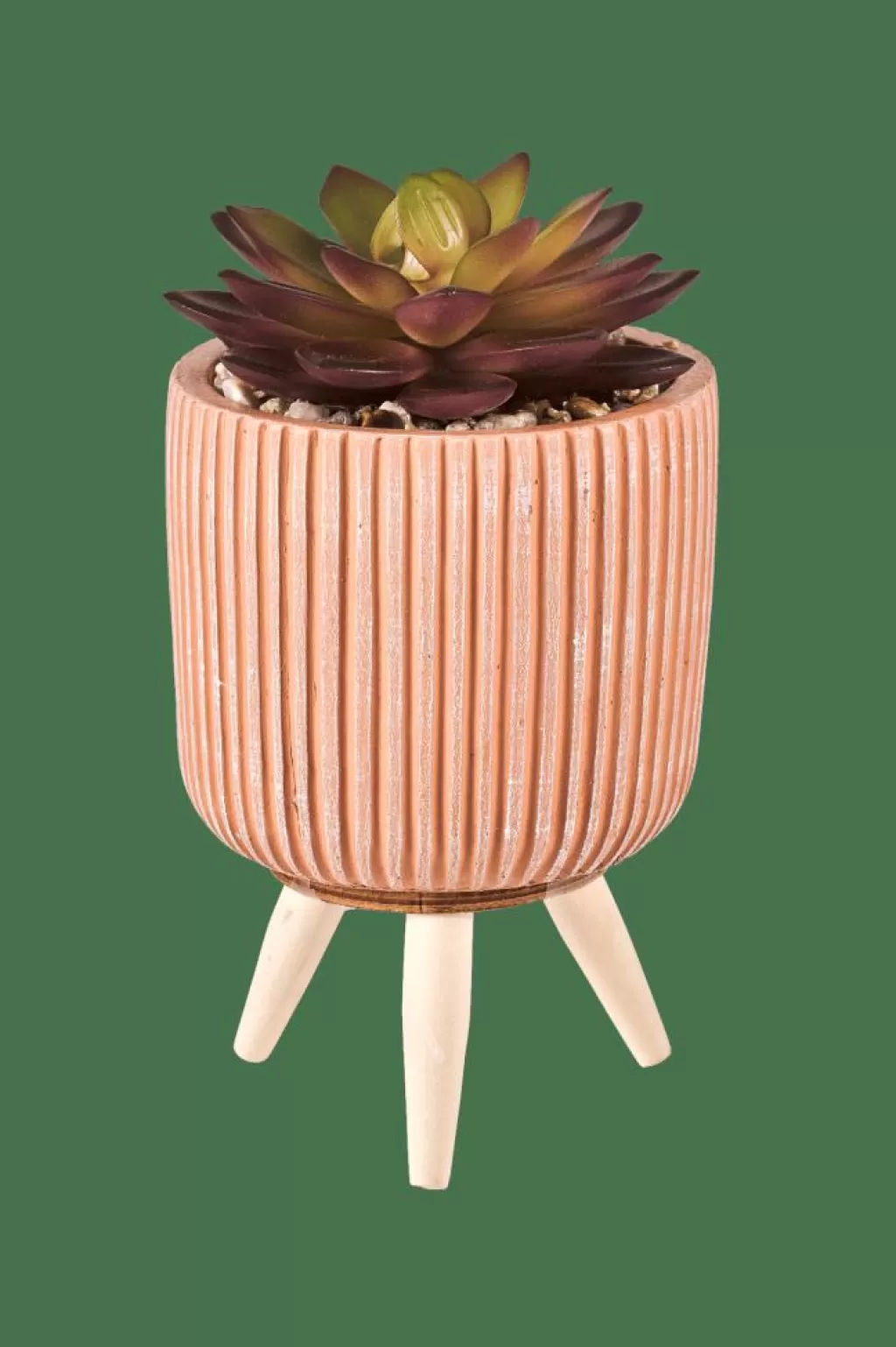 CASA STRIPE Planta Crasa Art En Tarro Multicolor